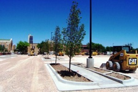 Polk Street Parking Lot  -- New Trees