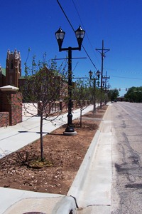 Polk Street Parking Lot  -- New Trees