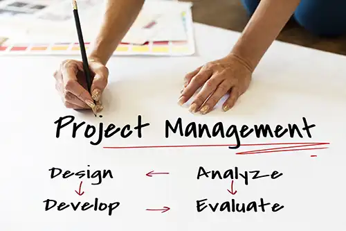 Project Management Organization Strategy Image