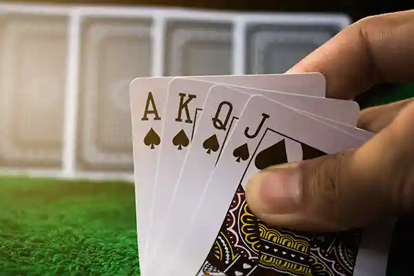 Hand with playing cards displayed