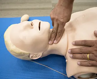 Image depicts hands demonstrating how to check pulse for pulse on CPR mannequin