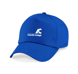 AC  T shirt Guide8