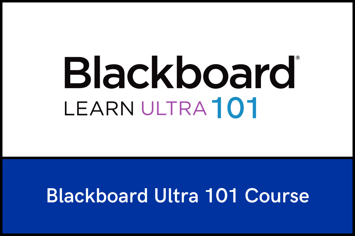 Amarillo College Blackboard Student Help