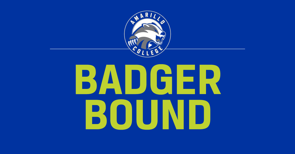 Badger bound Logo