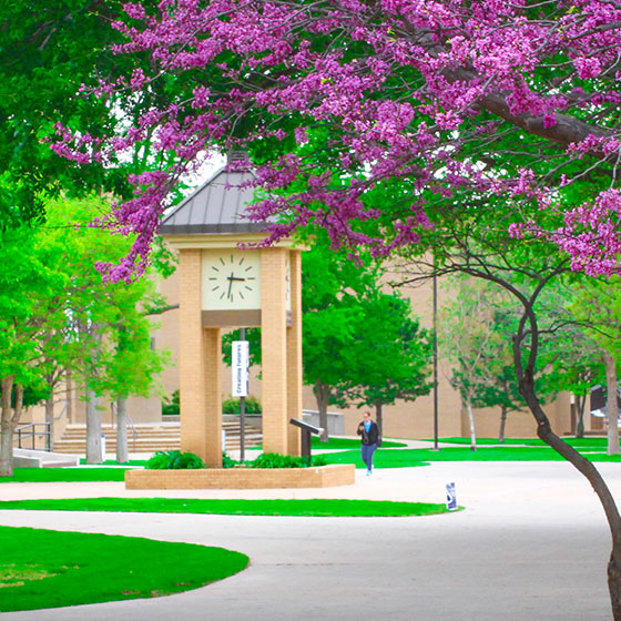 AC Campus