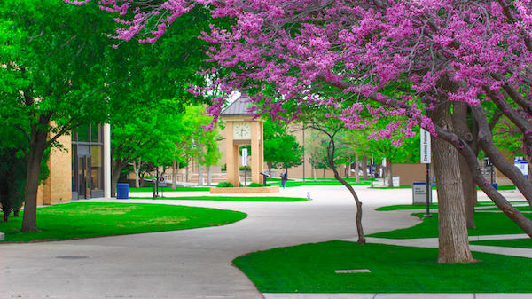 Ac campus spring