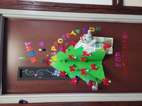 I want a Hippopotamus