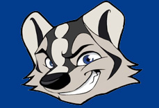 Badger Boot Camp