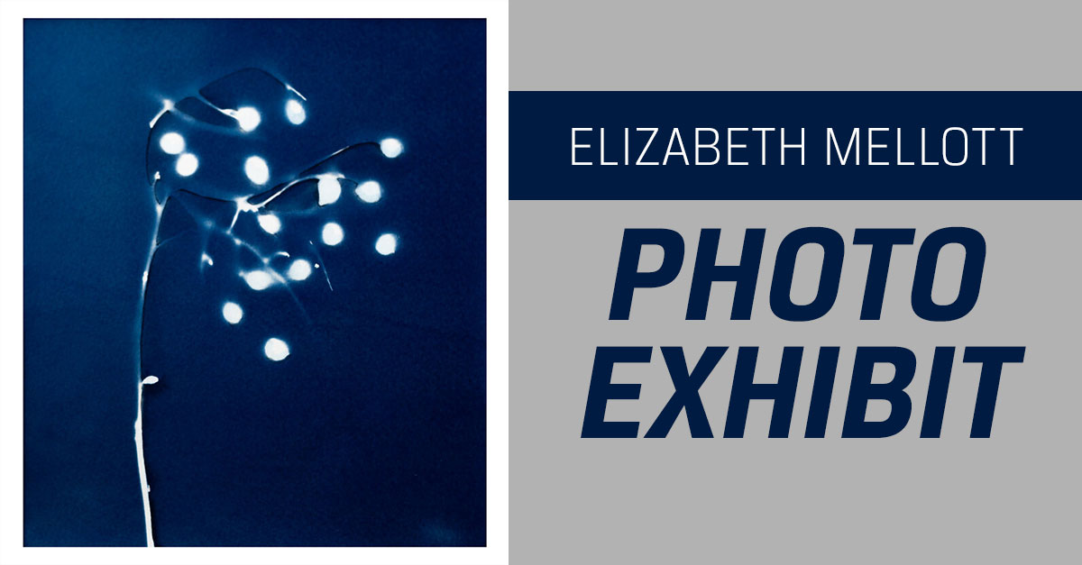 Souther Light Exhibit Homepage Souther Light Exhibit Homepage