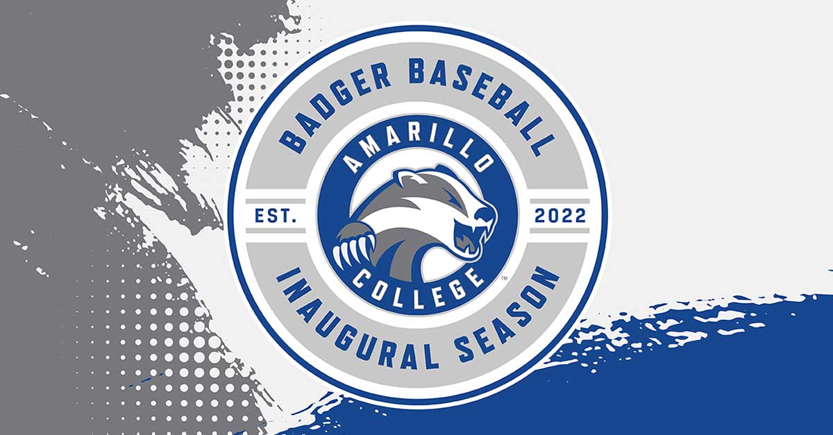 Badger Baseball Graphic
