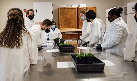 STEM research 1 STEM research 1