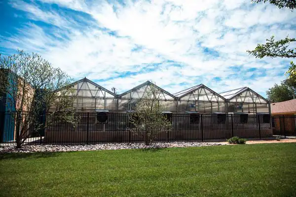 External view of the greenhouse bays