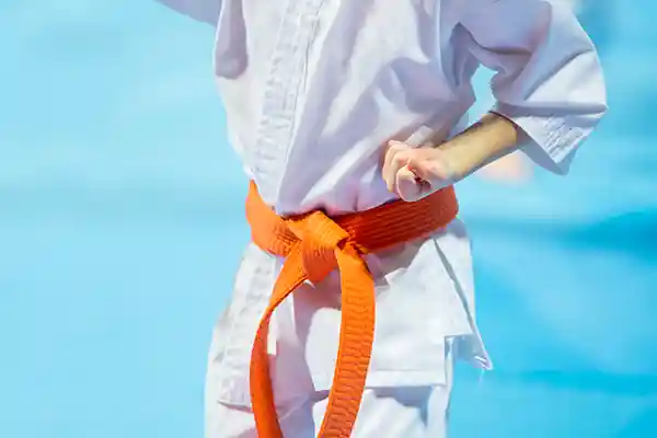Young Student in Aikido pose on mat