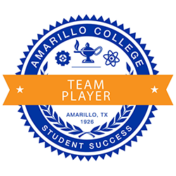 TeamPlayer Small