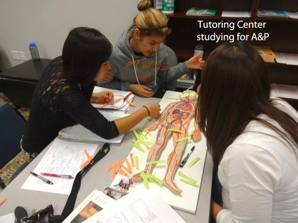 Tutoring Copy with text Tutoring Copy with text