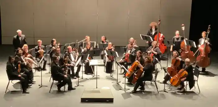 Chamber Orchestra Spring 2022
