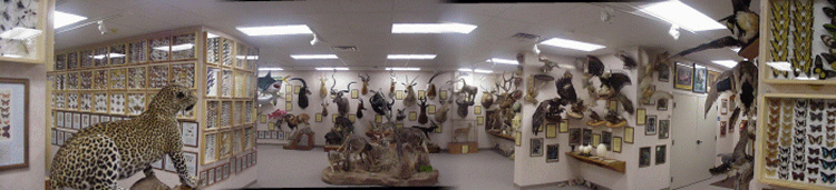 panmuseum