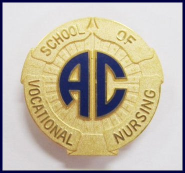 VN pin.JPG