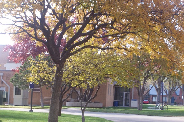 Fall Foliage 2011  015.JPG