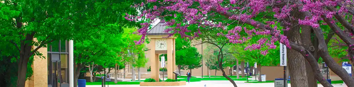 Campus Grounds