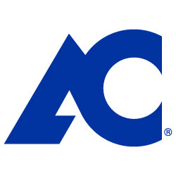 AC Bug 