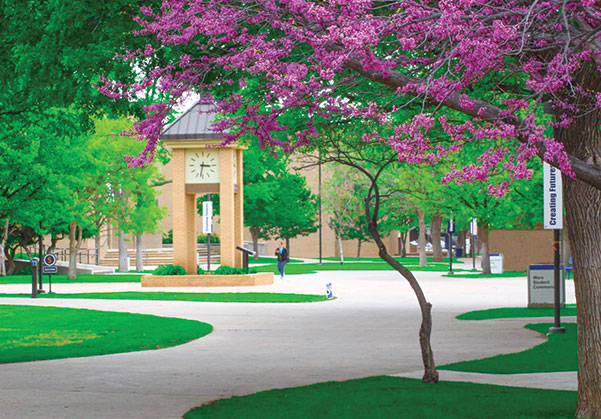 Amarillo College - Programs of Study